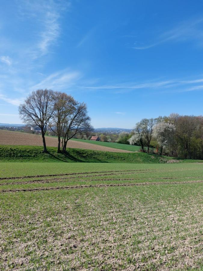 Wohnung Mona Herford Buitenkant foto